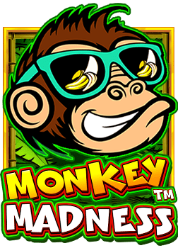 เกมสล็อต วิธีเล่น สำหรับมือใหม่ที่อยากลอง